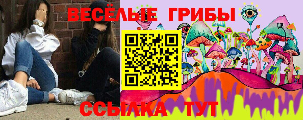 Псилоцибиновые грибы MAGIC MUSHROOMS Новочебоксарск