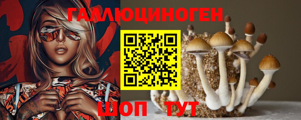 Новочебоксарск  Галлюциногенные грибы прущие грибы  Вход с VPN  Галлюциногенные грибы MAGIC MUSHROOMS 